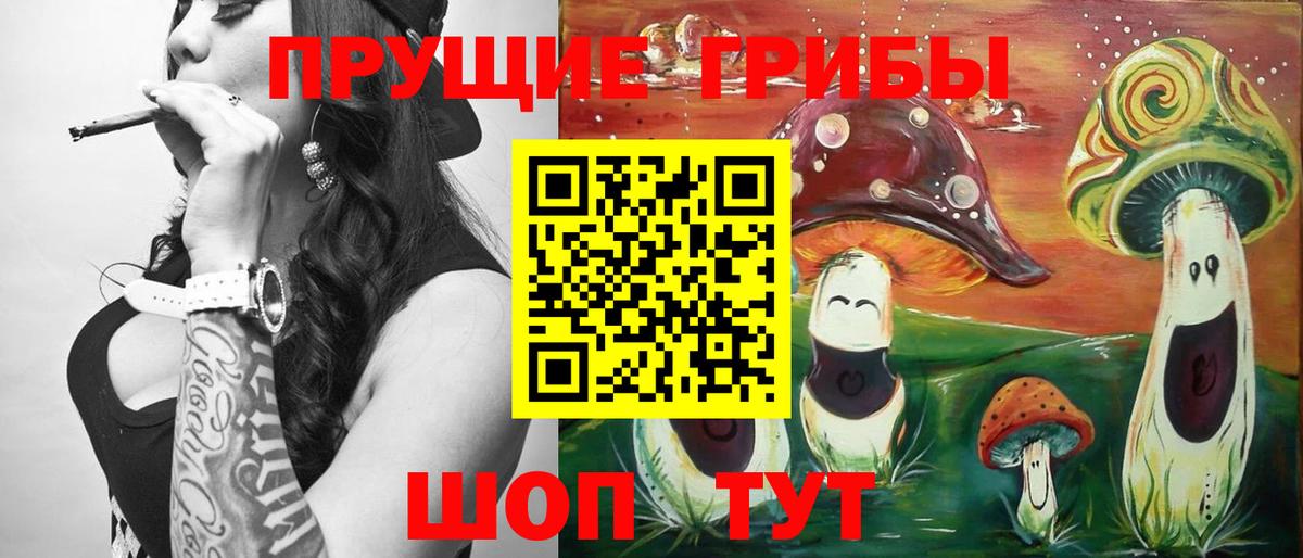 Псилоцибиновые грибы GOLDEN TEACHER Луховицы