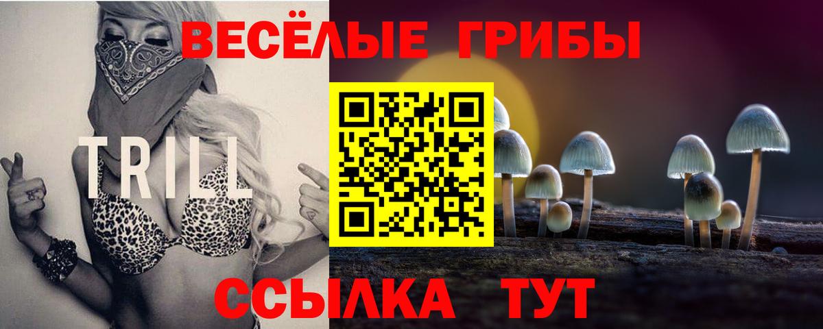 Луховицы  Галлюциногенные грибы GOLDEN TEACHER  Вход с VPN 